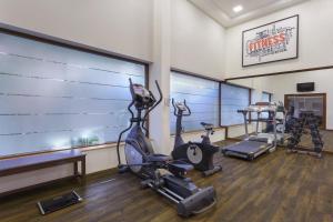 a gym with several treadmills and cardio machines at Lazy Lagoon, Baga A Lemon Tree Resort, Goa in Baga