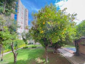 Gallery image of Azabu Hotel Collection in San Luis Potosí