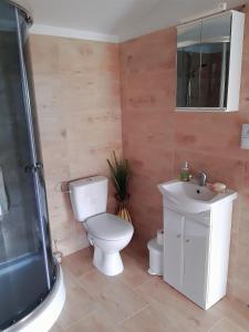 a bathroom with a toilet and a sink and a shower at U Górala Tadzia in Krynica Zdrój