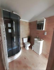 a bathroom with a toilet and a sink at U Górala Tadzia in Krynica Zdrój