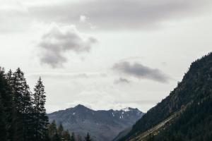 Blick auf eine Bergkette mit Bäumen und Wolken in der Unterkunft Ferienhaus Alpen Lodge und die Gams in Neurur