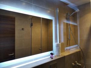a bathroom with a shower and a large mirror at Pension Ciudadela in Barcelona