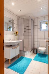La salle de bains est pourvue d'une douche, d'un lavabo et de toilettes. dans l'établissement Ferienwohnung Bluamastiel, à Schruns