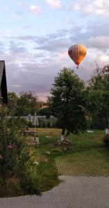 a hot air balloon flying over a park at Hillside country house - Long stays in Vilnius