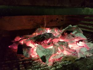 um fogo num forno de tijolos com carne e chamas em Hotel Ocurris Ubrique em Ubrique