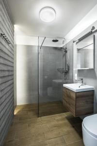 a bathroom with a shower and a toilet and a sink at Apartamenty Nowa Kamienica Częstochowa Centrum Szymanowskiego 22A in Częstochowa