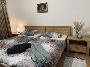 オロシュハーザにあるRigó Vendégház és Rendezvényteremのベッドルーム1室(ツインベッド2台、枕付)