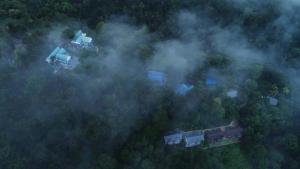 Vue aérienne d'une maison dans les bois dans le brouillard dans l'établissement Eterno Camellia and Elettaria, à Munnar