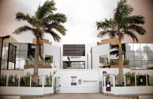 a building with two palm trees in front of it at Absolut Confort Suites in Atalaia Velha