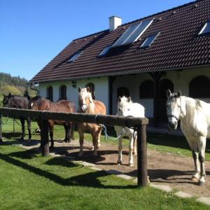 eine Gruppe von Pferden, die vor einem Gebäude stehen in der Unterkunft Farma Malenice in Malenitz