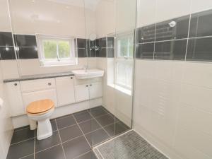 a bathroom with a toilet and a sink at Red Squirrel Cottage, 5 Biddlestone in Morpeth +24 photos