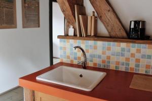 a sink in a kitchen with a counter top at U Devíti vidlí in Žlutice +42 photos