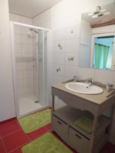 a bathroom with a sink and a shower at Chambre d'Hôtes - La Rigaudière in Le Theil-de-Bretagne +24 photos