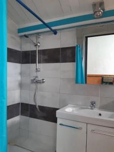 a bathroom with a shower and a sink at Gites du Mas Gibert à SAUSSINES entre Nimes et Montpellier in Saussines