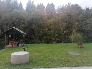 Zahrada ubytování Apartma Gače