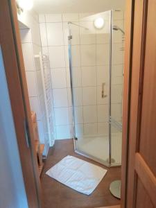 a shower with a glass door in a bathroom at Apartment Müllerstiege in Hallstatt