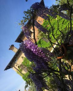 a bunch of purple flowers on a building at Torre de Salis in Gussago