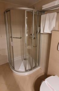 um chuveiro na casa de banho com WC em Apartman 117 Vucko Jahorina em Jahorina
