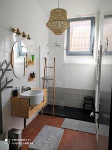 Un baño con lavabo, ducha y espejo. en Le Selamat, Logis XXL au calme avec Terrasse, en Carcassonne