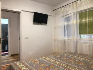 um quarto com uma cama e uma televisão na parede em Apartament Stefan em Băile Govora