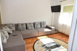uma sala de estar com um sofá e uma mesa em Apartament Stefan em Băile Govora