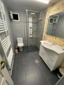 a bathroom with a shower and a sink and a toilet at CABANA MARIA-PETRIMANU in Ciungetu