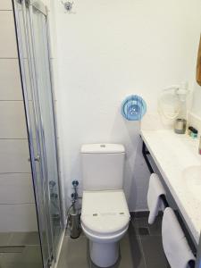 a bathroom with a toilet and a shower at PANDAN KARAKOY SUİT in Istanbul