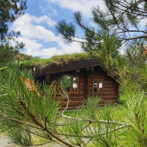 a log cabin with a grass roof at Log home village in Ulverston