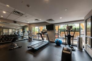 een fitnessruimte met diverse loopbanden en een groot raam bij Holiday Inn Express & Suites Riverport Richmond, an IHG Hotel in Richmond