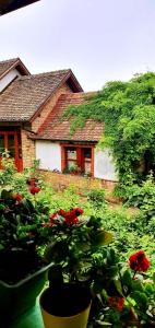 Zahrada ubytování Ilkićev kućerak Apartman