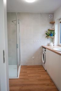 a bathroom with a shower and a washing machine at Vila Věkoše - apartmán s terasou a zahradou in Hradec Králové
