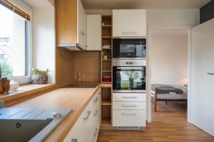 Kuchyň nebo kuchyňský kout v ubytování Vila Věkoše - apartmán s terasou a zahradou