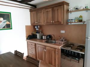 Kuchyň nebo kuchyňský kout v ubytování Ilkićev kućerak Apartman