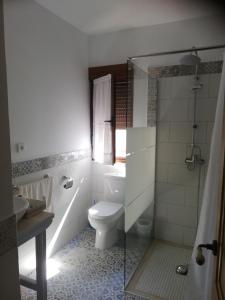 a bathroom with a toilet and a sink and a shower at Hostal el lugar de la Mancha in Argamasilla de Alba