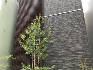 長崎市にあるグランドベース長崎中華街の黒塀前の木