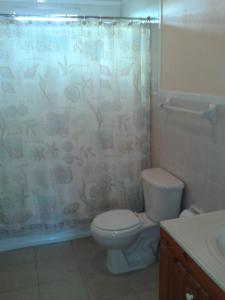 a bathroom with a toilet and a shower curtain at Tropical View Villas in Hartswell