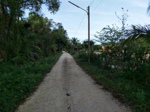 a dirt road with trees on the side of it at Home hug villa in Ban Bang Rin (1)