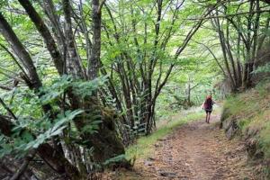 Foto dalla galleria di Hotel Nueva Allandesa a Pola de Allande