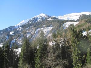 a mountain covered in snow with trees in the foreground at Bamerhof in Mittersill