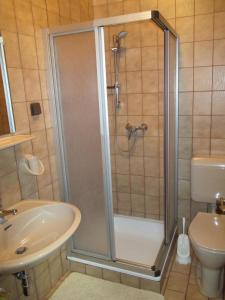 ミッタージルにあるBamerhofのバスルーム(シャワー、洗面台、トイレ付)