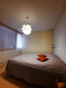 sypialnia z łóżkiem i żyrandolem w obiekcie Salonkylän koulu w mieście Kaustinen
