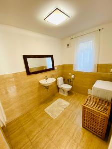La salle de bains est pourvue d'un lavabo, de toilettes et d'un miroir. dans l'établissement Pension Julia, à Banka