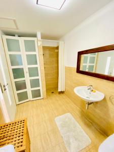 een badkamer met een wastafel en een spiegel bij Pension Julia in Banka