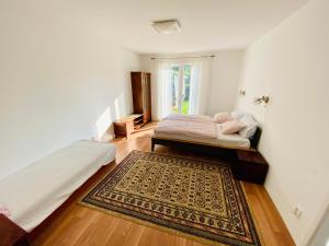 a bedroom with a bed and a rug and a window at Pension Julia in Banka +16 photos