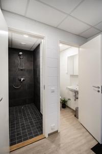 a bathroom with a shower and a sink at Krati Üürikorterid ja Hostel in Petrikyula