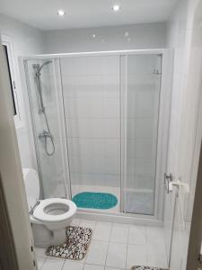 ein Badezimmer mit Dusche und Toilette in der Unterkunft Sea front Villa Kristina in Klorakas