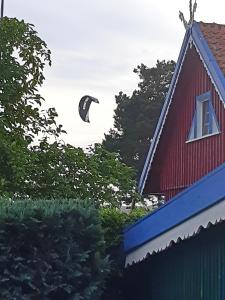 a kite is flying over a red house at Lana in Nida