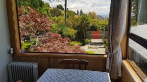 a view of a garden from the window of a balcony at Champion Road Studio in Stoke