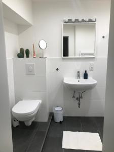 a white bathroom with a toilet and a sink at Turmwohnung Büdinger Hof in Weinheim