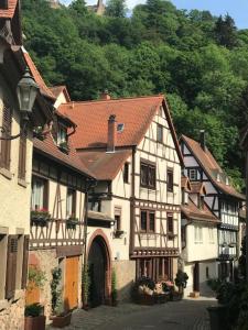 a group of buildings in a town with trees at Turmwohnung Büdinger Hof in Weinheim